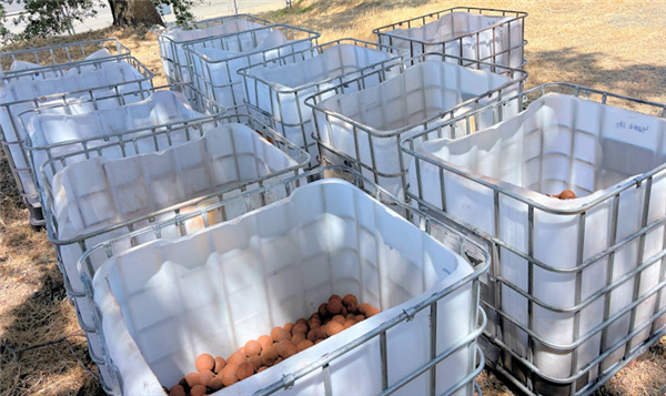 9 Units - Approx. 2-ton Totes Of Steel Grinding Balls In A Mix Of 1-1/2" - 3-1/2" Size)